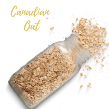 Rolled Oats